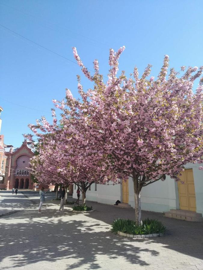 Затишна Двокімнатна Квартира В Самому Серці Ужгорода Uzhhorod Exterior photo